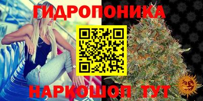 мдпв Донецк